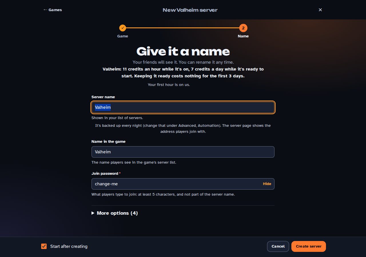 The name step: server name, name in the game, join password, the price in plain words